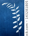 Sun printing, or cyanotype. Plants are arranged on watercolor paper coated with a special light-sensitive solution, resulting in a print with a rich 143281805