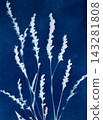 Sun printing, or cyanotype. Plants are arranged on watercolor paper coated with a special light-sensitive solution, resulting in a print with a rich 143281808