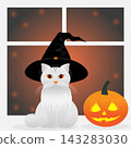 A gray cat in a black witch s hat is sitting on the windowsill next to it lies a pumpkin with eyes and a smile. The concept of Halloween. 143283030