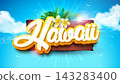 Aloha Hawaii Tropical Summer Design with Flower, Exotic Palm Leaves and 3d Typography Lettering on Blue Cloudy Sky Background. Vector Holiday Typography Illustration with Tropic Plant and Phylodendron 143283400