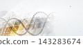 DNA strands, connected neural web neural pathways, science molecule structure 143283674
