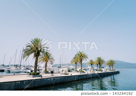 Morning light over tranquil marina. Peaceful coastal setting with sailboats under clear azure sky Morning light over tranquil marina. Peaceful coastal setting with sailboats under clear azure sky 143284192