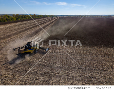Agricultural combine harvests crop in expansive field, with dust trailing beside parallel rows of stubble. Sunflower is not identifiable in this view, which shows working machinery and rural farmland. Agricultural combine harvests crop in expansive field, with dust trailing beside parallel rows of stubble. Sunflower is not identifiable in this view, which shows working machinery and rural farmland. 143284346