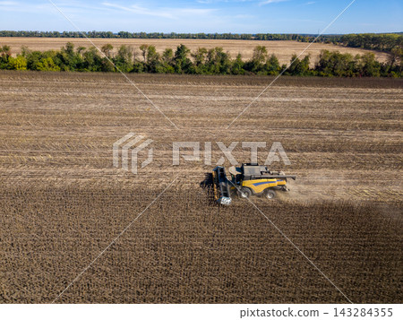 Combine harvester works across broad sunflower field, cutting crop rows beneath clear blue sky. Agricultural machine stands amid dry stubble, though sunflower heads are not visible. Combine harvester works across broad sunflower field, cutting crop rows beneath clear blue sky. Agricultural machine stands amid dry stubble, though sunflower heads are not visible. 143284355