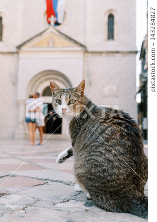 Feline on historic square scene. Observant kitty sits on ancient stones as lively travelers pass by in sunlight Feline on historic square scene. Observant kitty sits on ancient stones as lively travelers pass by in sunlight 143284827