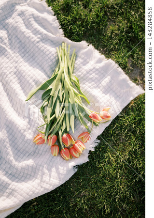 Spring floral display. Arrangement of vivid tulips on textured fabric beneath gentle sunlight during springtime Spring floral display. Arrangement of vivid tulips on textured fabric beneath gentle sunlight during springtime 143284858