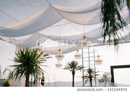 Elegant Outdoor Event Decor with Chandeliers and Palm Trees Elegant Outdoor Event Decor with Chandeliers and Palm Trees 143284959