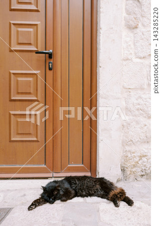 Peaceful cat resting outside. Quiet moments of cat lounging in sunny neighborhood setting Peaceful cat resting outside. Quiet moments of cat lounging in sunny neighborhood setting 143285220