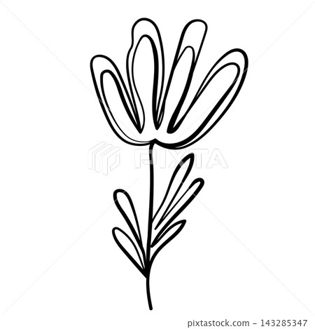Floral silhouette art line. Flowers roses in continuous line drawing style. Border with tropical flower. Minimalist black linear sketch. Trendy vector illustration isolated. Contour frame for design Floral silhouette art line. Flowers roses in continuous line drawing style. Border with tropical flower. Minimalist black linear sketch. Trendy vector illustration isolated. Contour frame for design 143285347