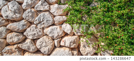 Natural stone wall texture with green foliage and small red flowers growing alongside, showcasing a blend of organic and rugged elements in a sunny outdoor setting Natural stone wall texture with green foliage and small red flowers growing alongside, showcasing a blend of organic and rugged elements in a sunny outdoor setting 143286647