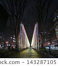 Jozenji Street in Sendai during winter (Aoba Ward, Sendai City, Miyagi Prefecture) 143287105
