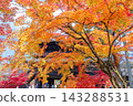 Nanzenji in autumn 143288531