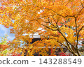 Nanzenji in autumn 143288549