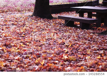 公園長椅和一片落葉 公園長椅和一片落葉 143288554