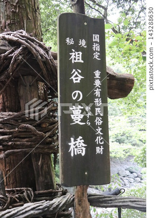 祖谷藤橋是國家指定的重要有形民俗文化財產,橫跨德島縣三好市僻靜的祖谷山谷。 祖谷藤橋是國家指定的重要有形民俗文化財產,橫跨德島縣三好市僻靜的祖谷山谷。 143288630