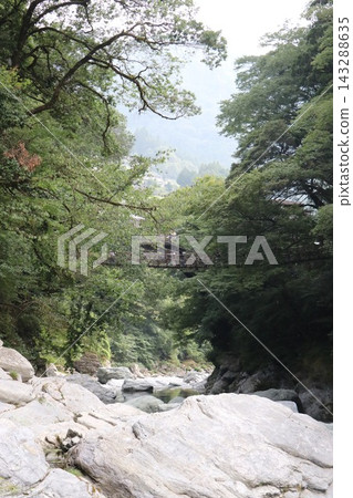 祖谷藤橋是國家指定的重要有形民俗文化財產,橫跨德島縣三好市僻靜的祖谷山谷。 祖谷藤橋是國家指定的重要有形民俗文化財產,橫跨德島縣三好市僻靜的祖谷山谷。 143288635