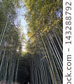 京都嵐山竹林步道 143288792