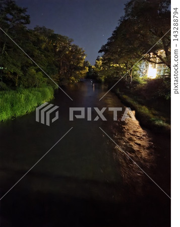 螢火蟲在千歲川沿岸翩翩起舞。 143288794