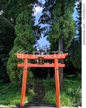 A vermilion torii gate and stone steps stand amidst the lush green grounds of Suga Shrine (Izumi Ward, Sendai City, Miyagi Prefecture). A vermilion torii gate and stone steps stand amidst the lush green grounds of Suga Shrine (Izumi Ward, Sendai City, Miyagi Prefecture). 143289137