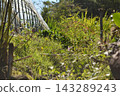 Barren field Barren field 143289243