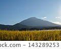 Autumn scenery of Mount Iwate, rice fields, and the setting sun. Autumn scenery of Mount Iwate, rice fields, and the setting sun. 143289253