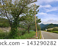 Snow poles installed along the roadside in mountainous areas 143290282