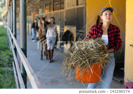 European young female worker walks go through corridor of stable, carrying basket with straw European young female worker walks go through corridor of stable, carrying basket with straw 143290574