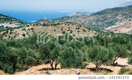 Mountain landscape with olive trees and coastal view, Crete, Greece Mountain landscape with olive trees and coastal view, Crete, Greece 143291373