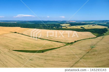 Aerial landscape view of yellow cultivated agricultural field with ripe wheat on bright summer day Aerial landscape view of yellow cultivated agricultural field with ripe wheat on bright summer day 143293143