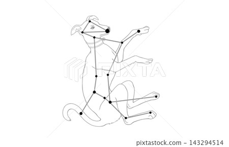 大犬座的單色線條畫(一隻大狗和星座線條的圖片) 大犬座的單色線條畫(一隻大狗和星座線條的圖片) 143294514