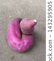 形狀奇特的紅薯 143295905