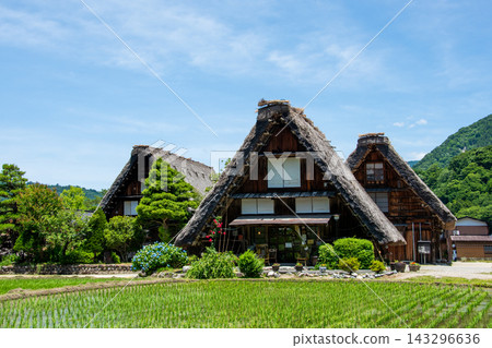 World Heritage Site, Shirakawa-go Gassho-zukuri Village: Springtime, Ogimachi Triple Gassho-zukuri Village World Heritage Site, Shirakawa-go Gassho-zukuri Village: Springtime, Ogimachi Triple Gassho-zukuri Village 143296636