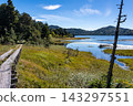 Walking along the boardwalk from Numajiri towards Ozenuma Hut in early autumn in Oze. 143297551