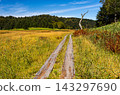 In early autumn, I made my way through the Oze Marshland, amidst the changing colors of the grasses, towards Numayama Pass. 143297690