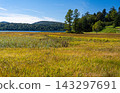 In early autumn in Oze, we head towards Numayama Pass, traversing the Oze Marshland amidst the vibrant autumn foliage of grasses. 143297691