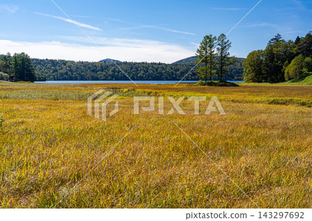 In early autumn in Oze, I gaze upon the autumn foliage and Oze Marsh, reluctantly leaving. In early autumn in Oze, I gaze upon the autumn foliage and Oze Marsh, reluctantly leaving. 143297692