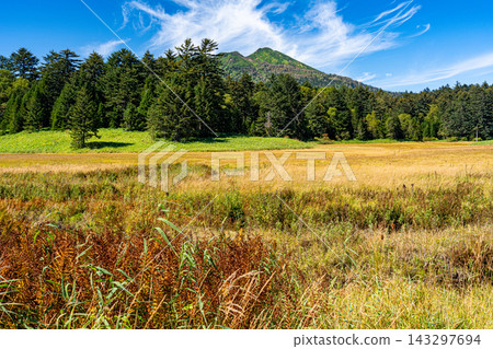 Early autumn in the Oze Marshland, with its colorful grasses and the scenery of Mt. Hiuchigatake. Early autumn in the Oze Marshland, with its colorful grasses and the scenery of Mt. Hiuchigatake. 143297694