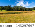Early autumn in the Oze Marshland, with its colorful grasses and the scenery of Mt. Hiuchigatake. 143297697