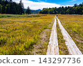 Heading towards Oze Marsh and Ozenuma Lake in early autumn 143297736