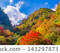 This photo captures the vibrant autumn foliage and towering, strangely shaped rock formations of the Yabakei Gorge, as seen from the Ichimoku Hakkei Observatory in autumn. This photo captures the vibrant autumn foliage and towering, strangely shaped rock formations of the Yabakei Gorge, as seen from the Ichimoku Hakkei Observatory in autumn. 143297873