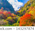 This photo captures the vibrant autumn foliage and towering, strangely shaped rock formations of the Yabakei Gorge, as seen from the Ichimoku Hakkei Observatory in autumn. This photo captures the vibrant autumn foliage and towering, strangely shaped rock formations of the Yabakei Gorge, as seen from the Ichimoku Hakkei Observatory in autumn. 143297874