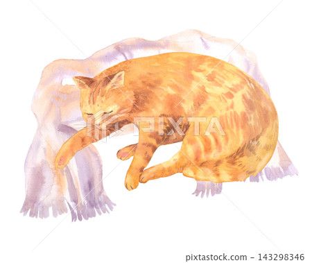 Sleeping ginger tabby cat curled on fringed lavender scarf with closed eyes and warm orange fur in watercolor illustration Sleeping ginger tabby cat curled on fringed lavender scarf with closed eyes and warm orange fur in watercolor illustration 143298346