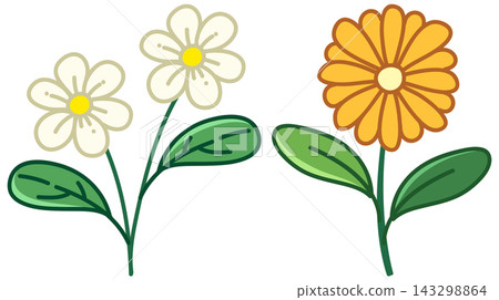 Cute Cartoon Daisy and Marigold Flower Vector Illustration Cute Cartoon Daisy and Marigold Flower Vector Illustration 143298864