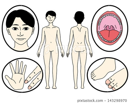 以臉部和身體(彩色)為重點的溝通板 以臉部和身體(彩色)為重點的溝通板 143298970