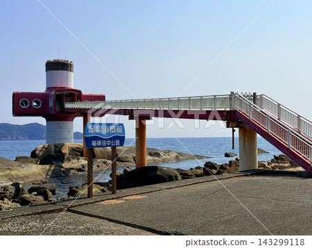 高知縣土佐水市的辰巳海岸：海岸景觀，以奇特的岩石構造、大小不一的竹林和蜂窩狀結構為特色。 143299118
