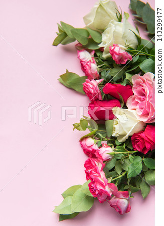 Pink roses and eucalyptus framing pastel background Pink roses and eucalyptus framing pastel background 143299477