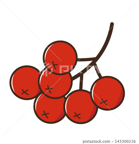 花楸樹。紅色漿果。向量圖。 花楸樹。紅色漿果。向量圖。 143300216
