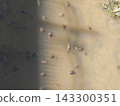 A pond landscape that considers the ecosystem of the waterside. 143300351