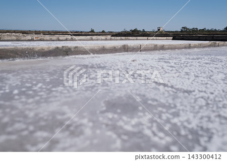 white sea salt crystals forming in evaporation pan at traditional salt marsh white sea salt crystals forming in evaporation pan at traditional salt marsh 143300412