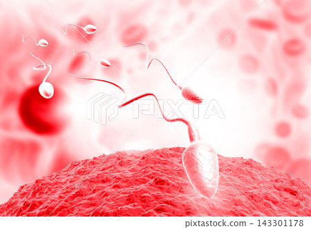Eggs choose sperm, fertilization Eggs choose sperm, fertilization 143301178
